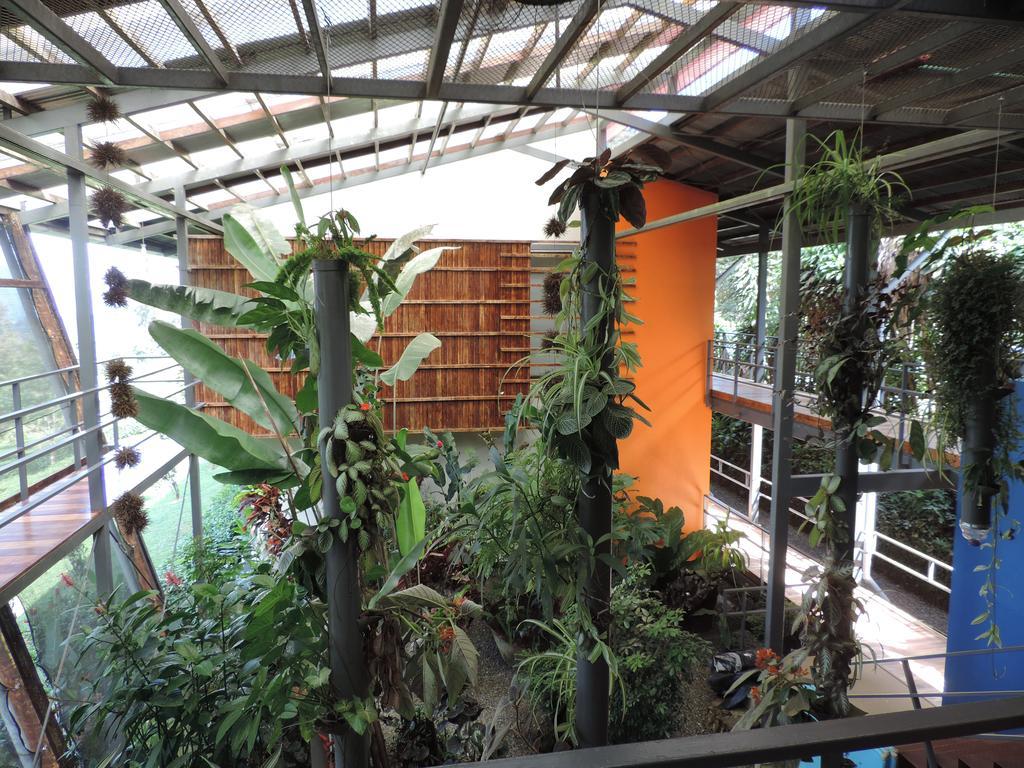 Celeste Mountain Lodge Bijagua Esterno foto