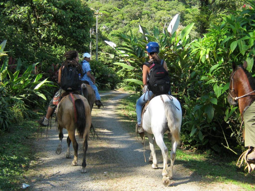 Celeste Mountain Lodge Bijagua Esterno foto